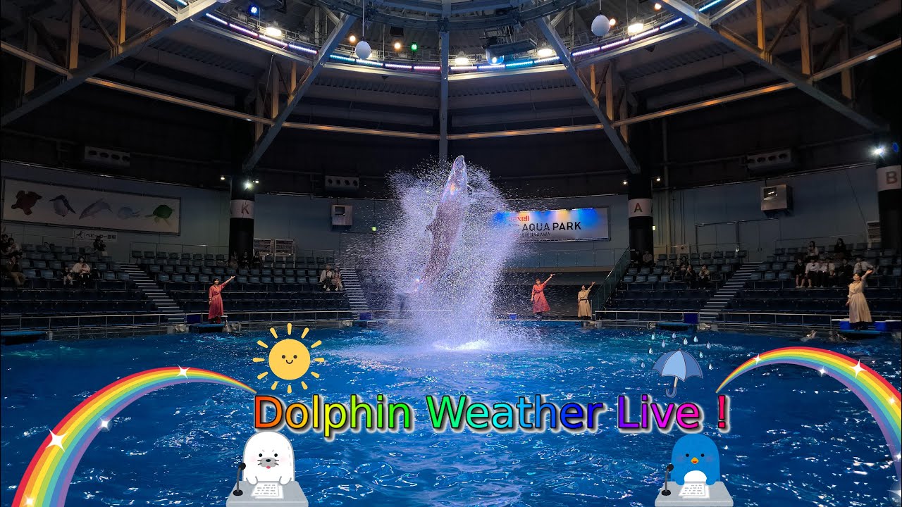 【完全版】マクセルアクアパーク品川 ドルフィンパフォーマンス（イルカショー）　デイVer.「Dolphin Weather Live！晴れVer.」【4K】