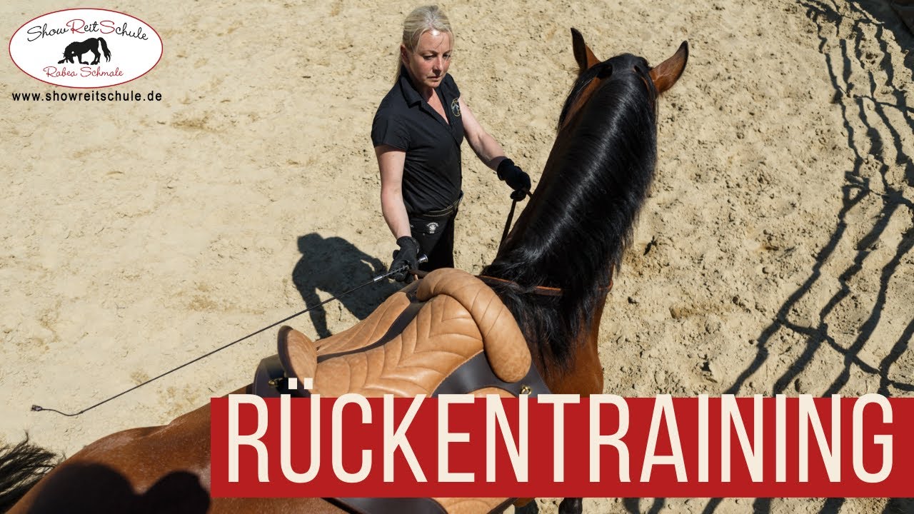 Rückentraining für ein gesundes Pferd - zertifizierte Ausbildung zum Pferdetrainer für Freizeitpferd