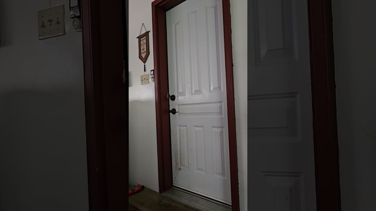 great dane and Poodle throwing tantrum because I took their sister without them!