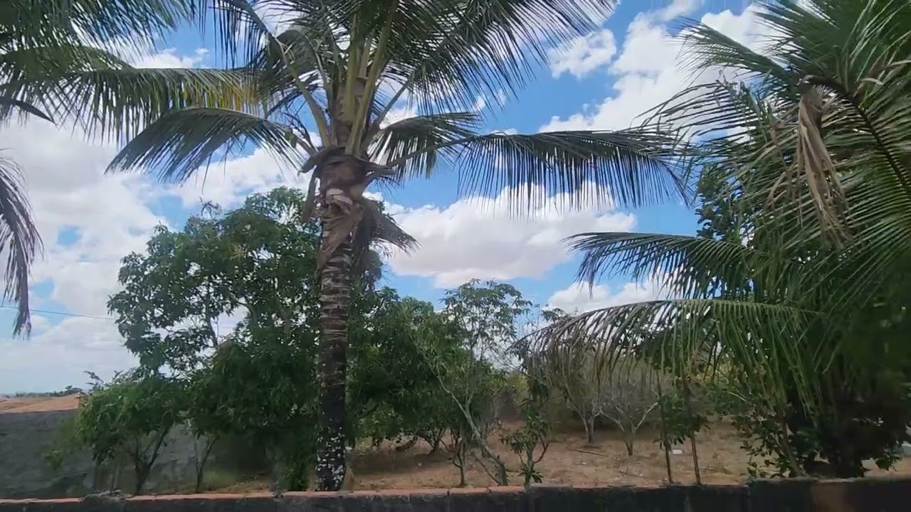 Obrigado Deus por tanto🙏#sitio #paz  #amor  #gratidão .
