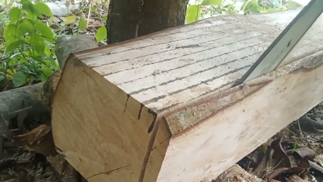 DI MANPAATKAN 