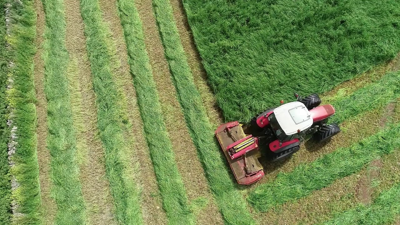 Agromeccanica ROSATI condizionatrice pottinger- Same iron 150.7