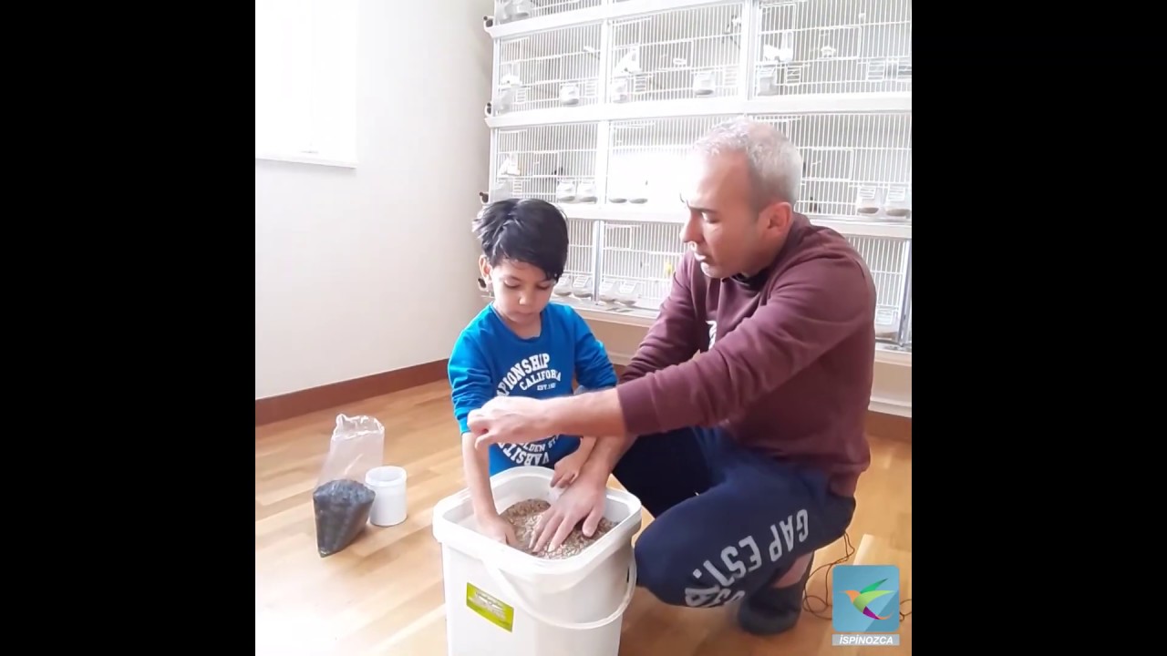 Doğa Kuşları İçin Yem Karışımı Hazırlamak