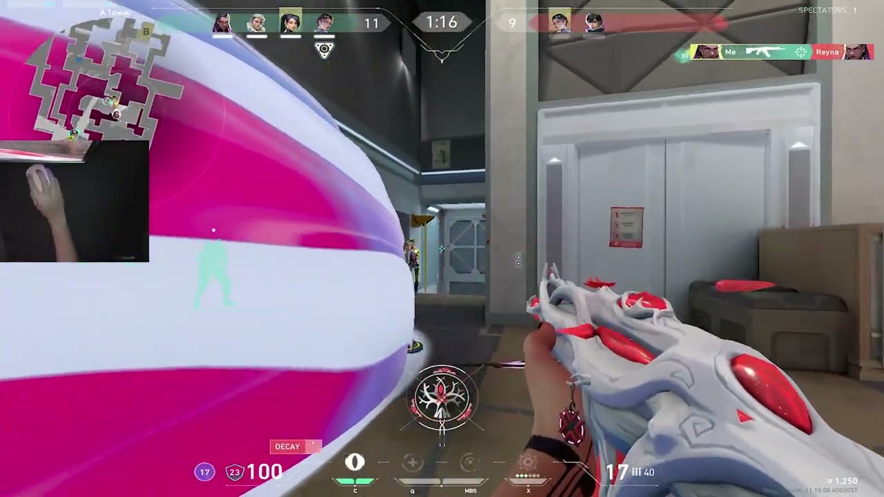 4 raws