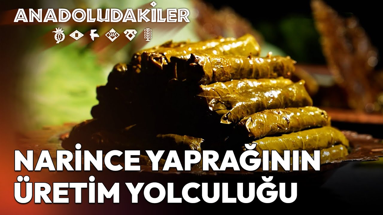 Meşhur Tokat Narince Asma Yaprakları Nasıl Üretiliyor? | Anadoludakiler