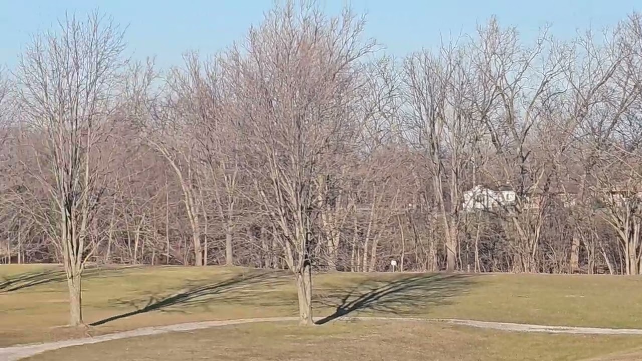 Peaceful Landscape with Calm Music 🍃 Stress Relief & Relaxation
