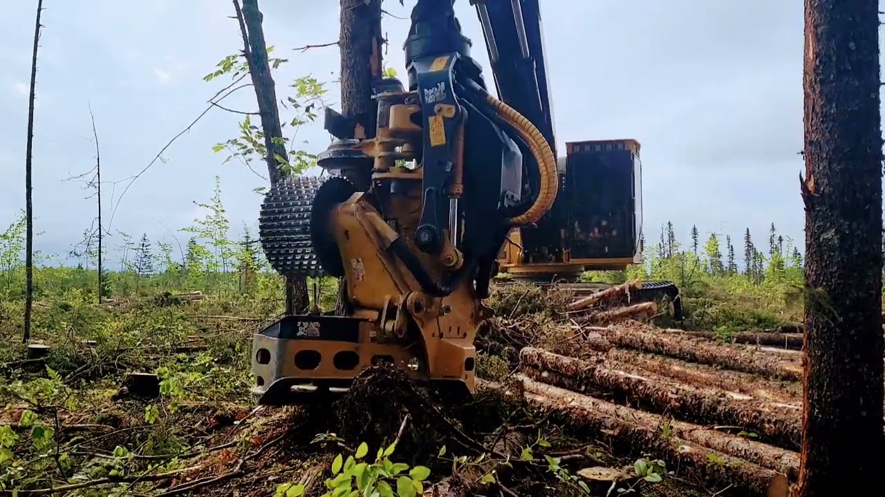 tigercat 570