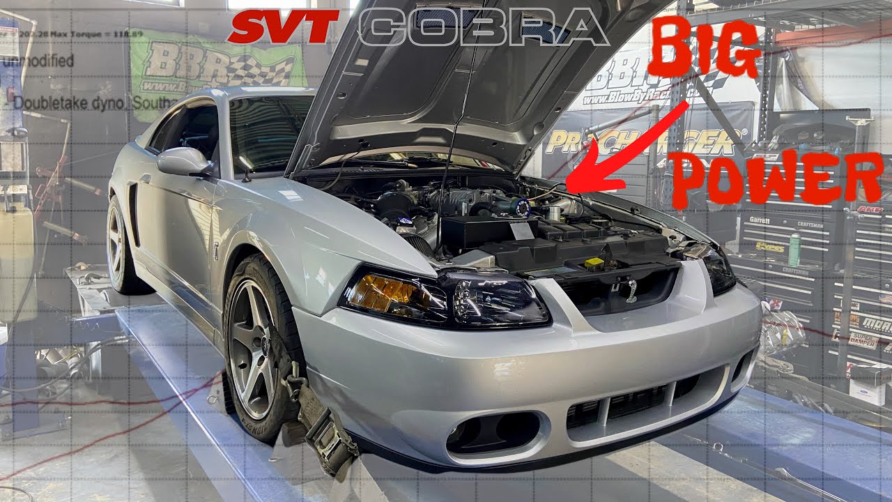 My Ported Eaton 2003 Cobra Makes IMPRESSIVE Power on Dyno