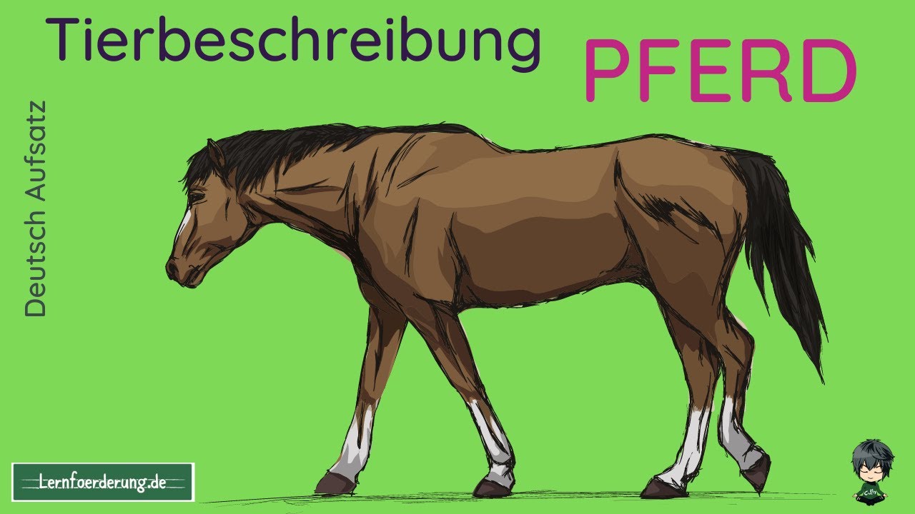 Tierbeschreibung Pferd - Beispiel f&uuml;r die n&auml;chste Klassenarbeit