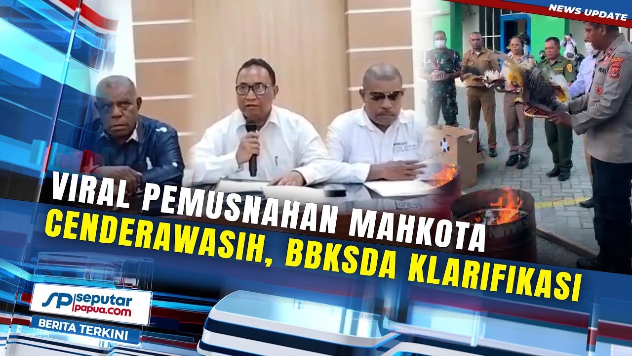 VIRAL PEMUSNAHAN MAHKOTA BURUNG CENDERAWASIH, BBKSDA PAPUA KLARIFIKASI
