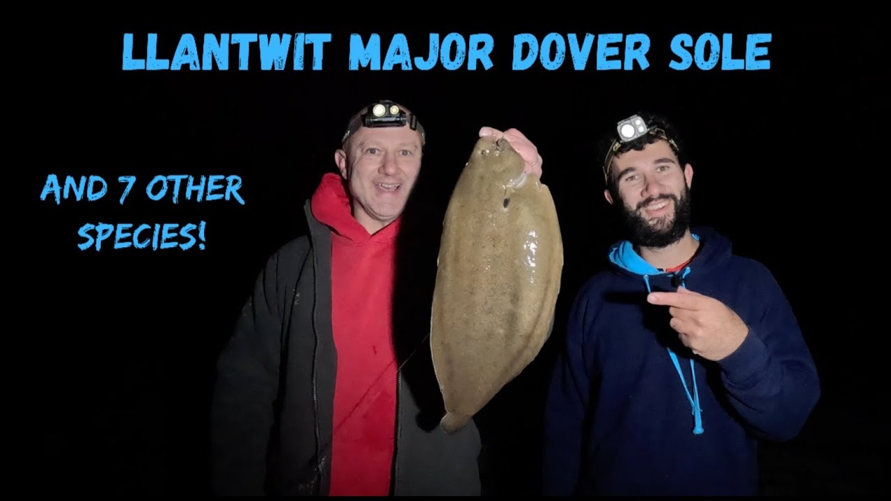Low water session at Llantwit Major with 8 species and a surprise Sole