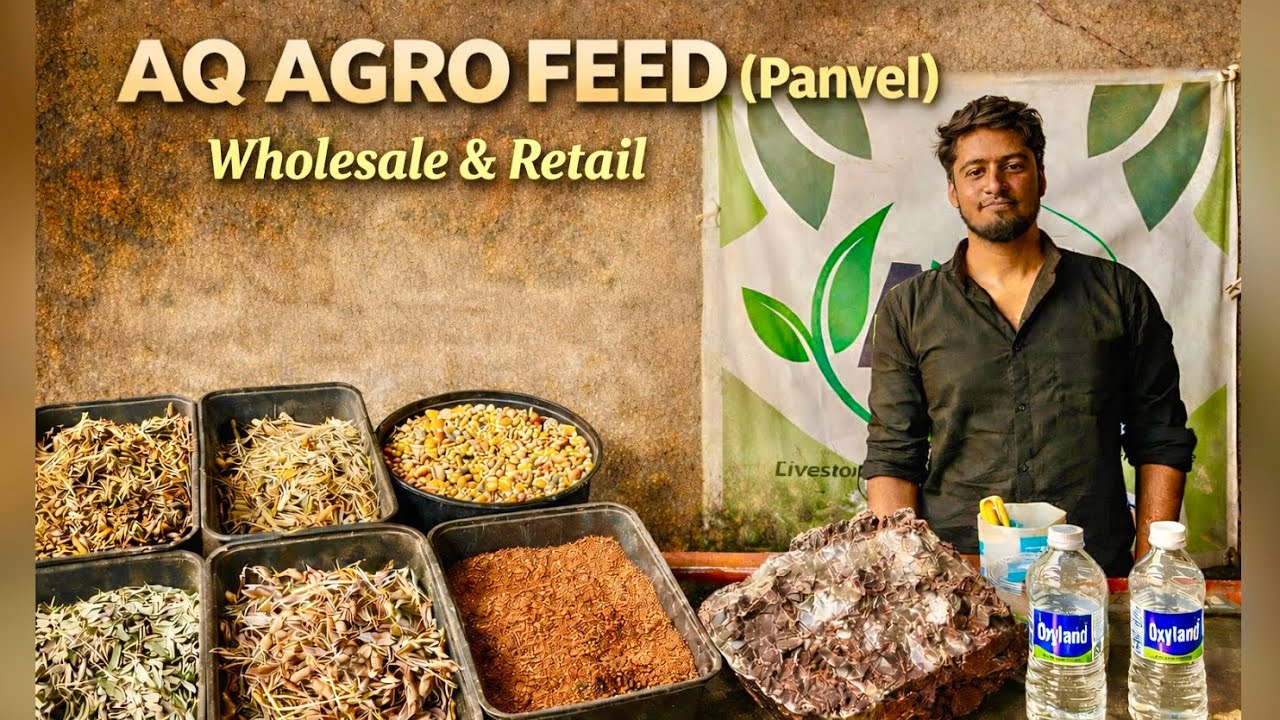 AQ Agro Goat Feed Panvel | Hari Patti, Tuvar, Mixed Feed Wholesale & Retail