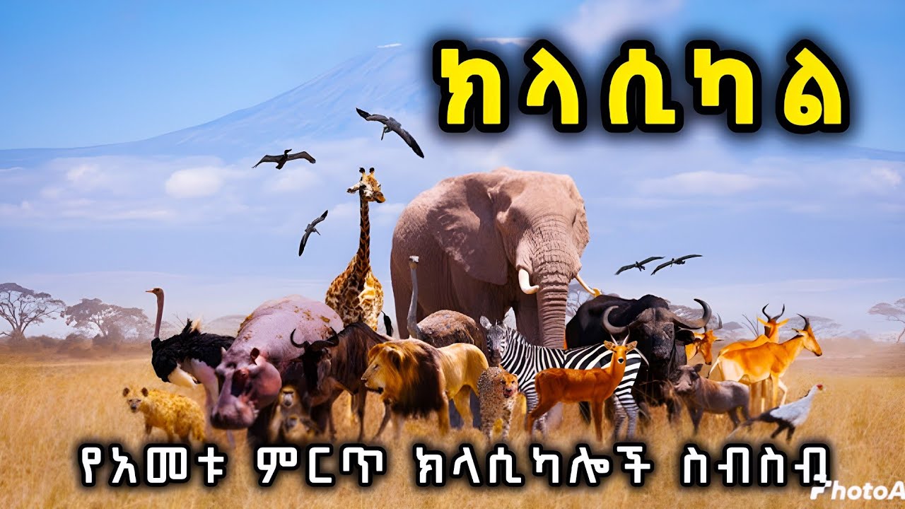 የአመቱ ምርጥ ክላሲካሎች ስብስብ - Best Classical music instrumental Non stop collection