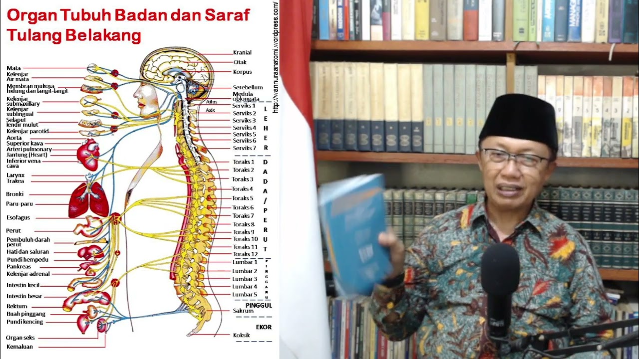 Seri 991:  MENCEGAH DAN MENYEMBUHKAN TULI, 2026 03 15 21 21 25