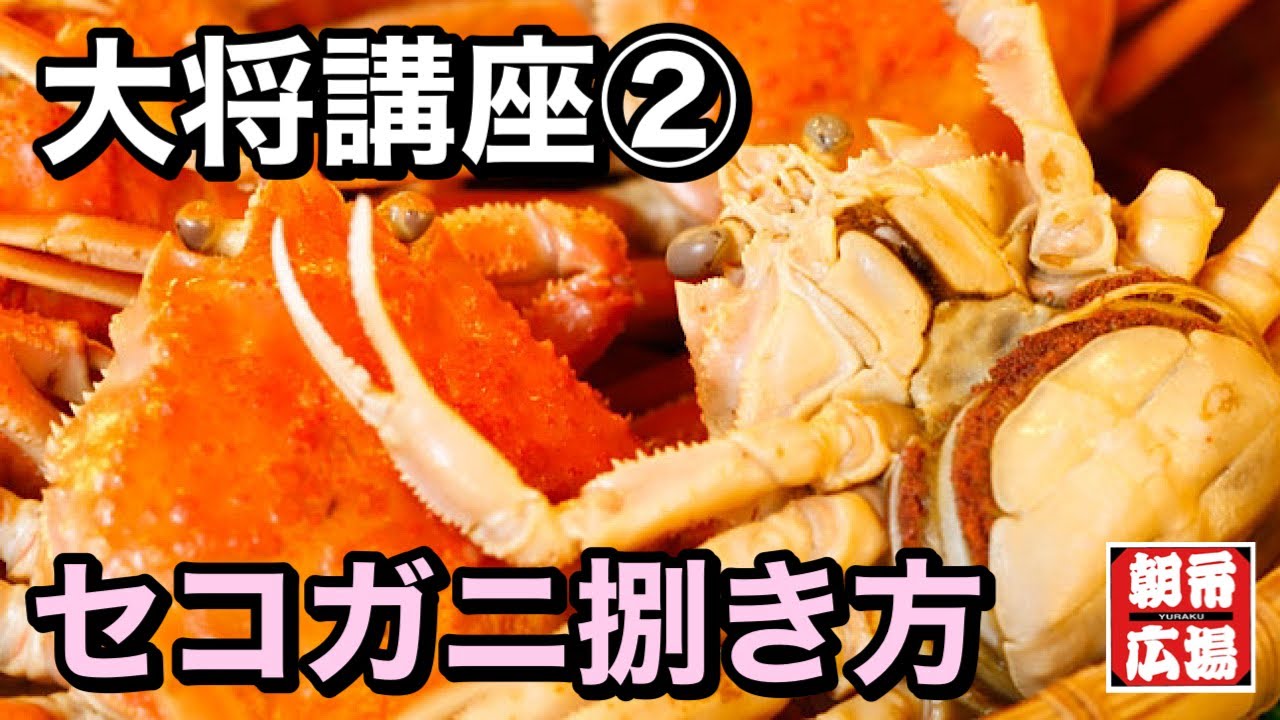 【大将講座②】セコガニの捌き方