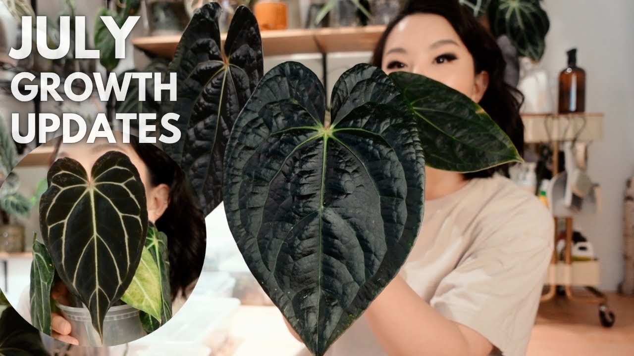 I can't believe I grew these leaves 🥹