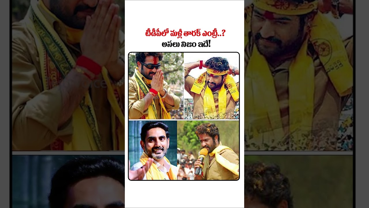 Will Tarak enter the TDP again..? Here is the real truth! | Jr NTR | Chandrababu | Nara Lokesh | ...