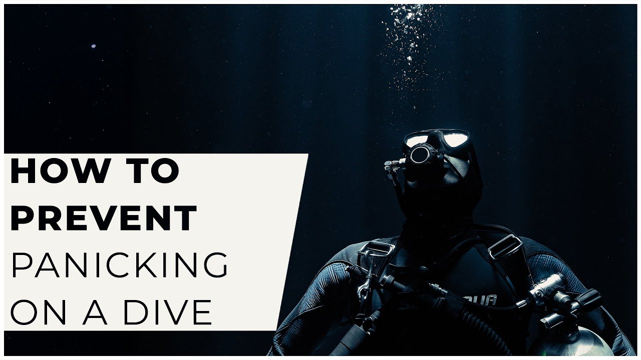 How to Prevent Panic While Scuba Diving | Pro Tips for a Calm Dive