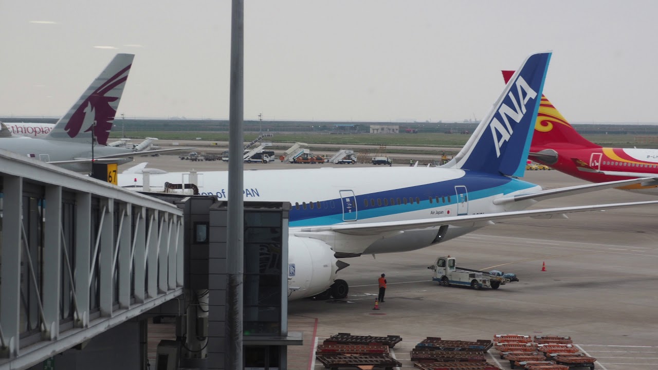 2019/04/30 ANA 960 Announcement: Shanghai Pudong - Tokyo Narita | 全日空 960便 アナウンス 上海浦東 ～ 成田