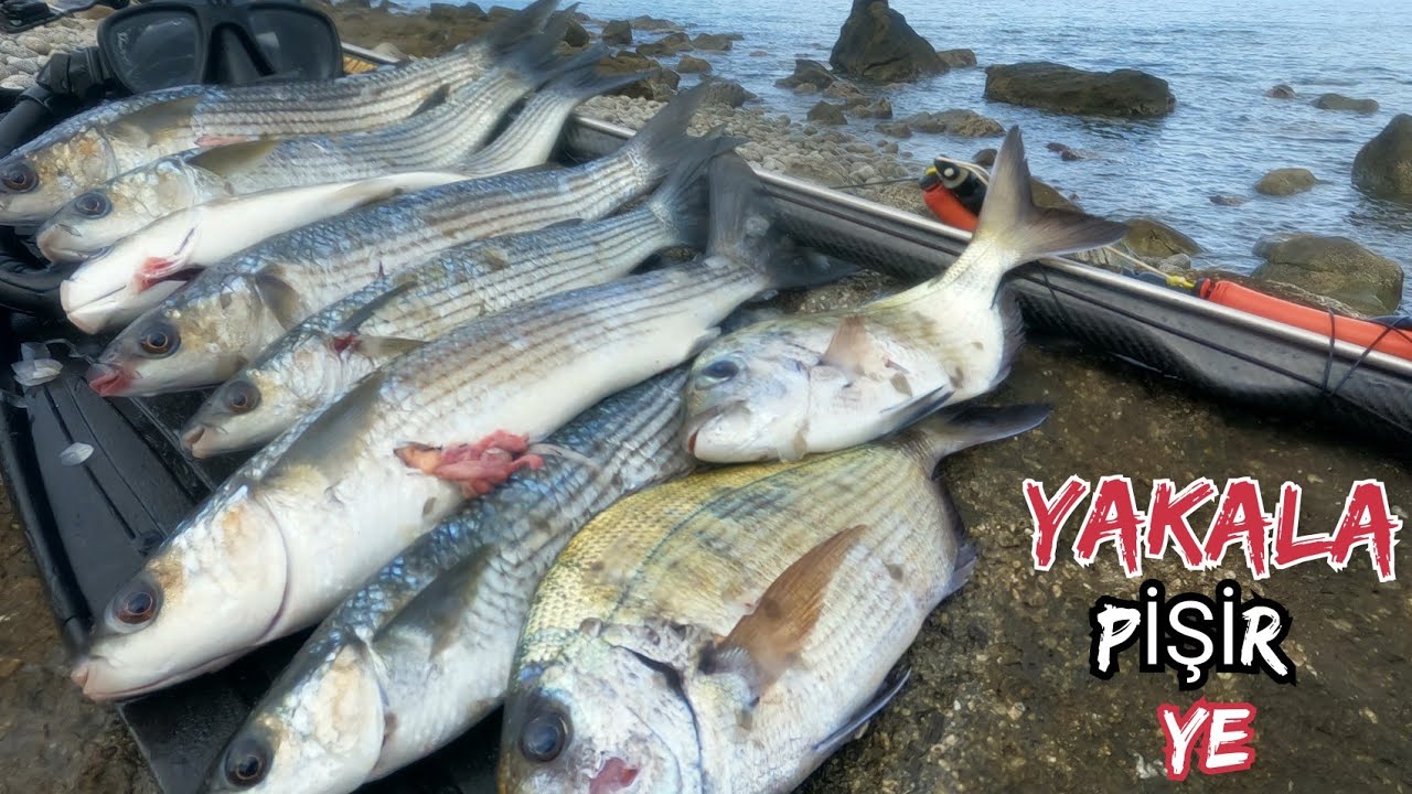 Adada Zıpkınla balık avı🐟 Yakala pişir ye Efsane çıtır balık yaptım❗ doğada tek başına yemek