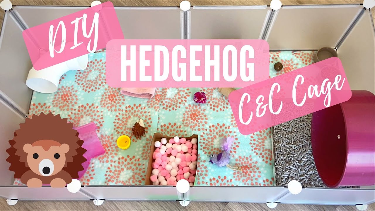 DIY C&C Hedgehog Cage Build