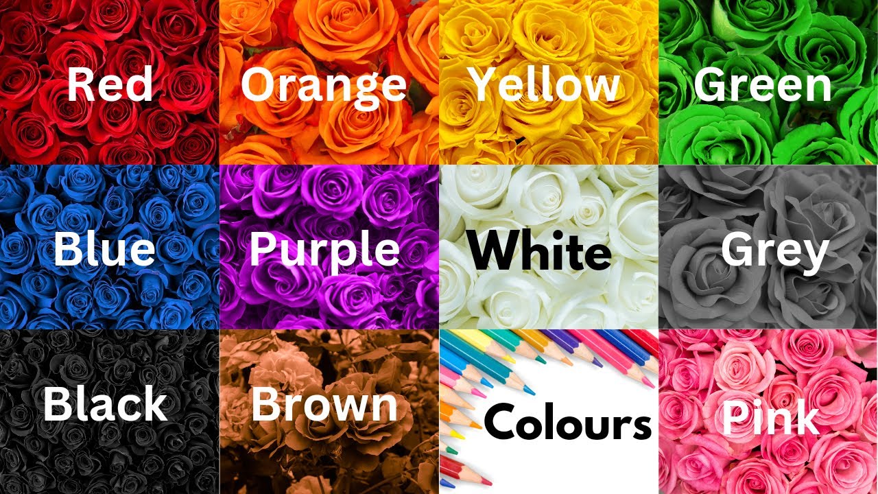 Color Song | Learn the Colors / Colours | Nursery Rhymes and Kids Song