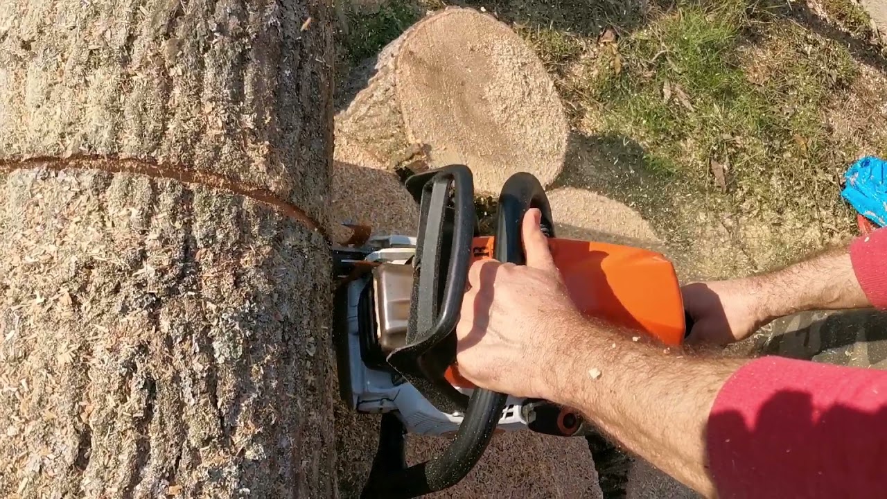 STIHL MS 362 4,8 cp & my friend passioned with chainsaws
