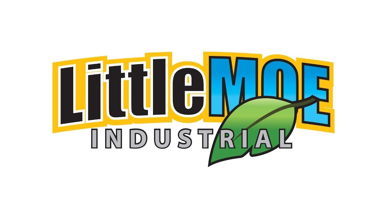 Why Little Moe?