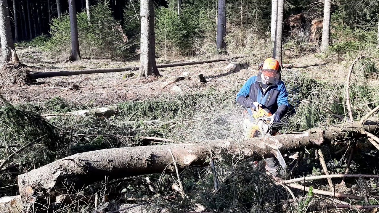Lumberjack 
