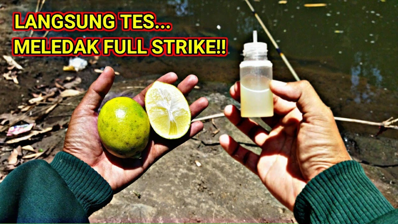 HOW TO MAKE LIME ESSENCE‼️TEST FISHING IMMEDIATELY