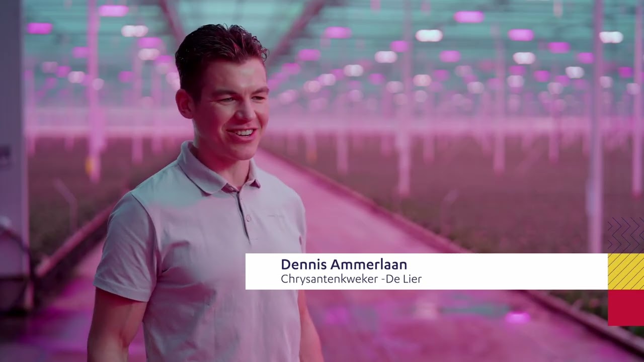 Toekomst Landelijk gebied Zuid-Holland: Cornelis en Dennis - jonge tuinders | Provincie Zuid-Holland