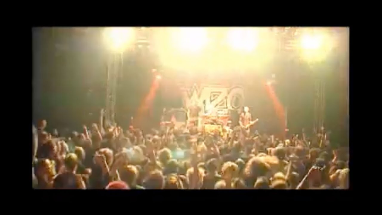 WIZO - 