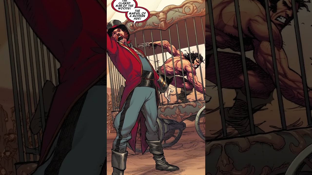 WHY Sabertooth HATES Wolverine! 
