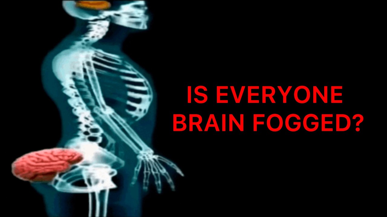 is everyone brain fogged?
