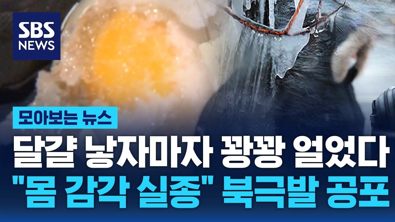 달걀 낳자마자 꽝꽝 얼었다…