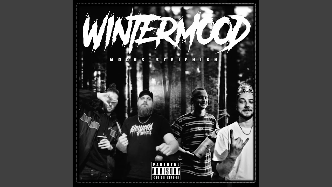 MISS FINSTA (feat. FVKT, HEGAR & CALLICIUS)