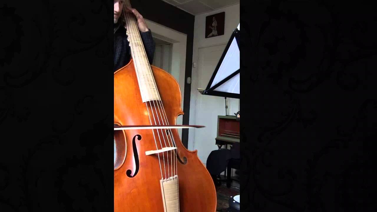 Minuet I from cello suite 1 - J.S. Bach on Violone in D