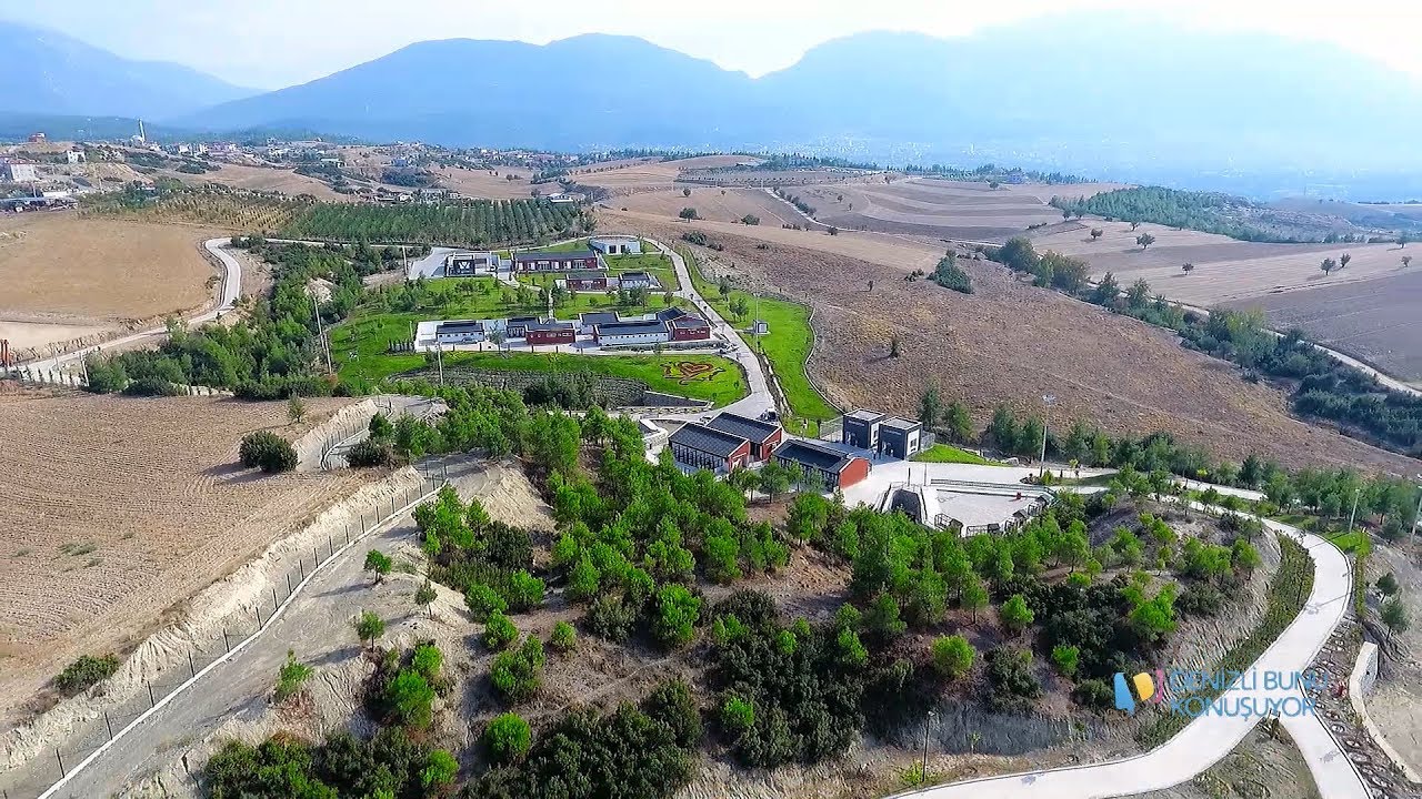 Türkiye'nin En Büyük Sokak Hayvanları Kompleksindeyiz