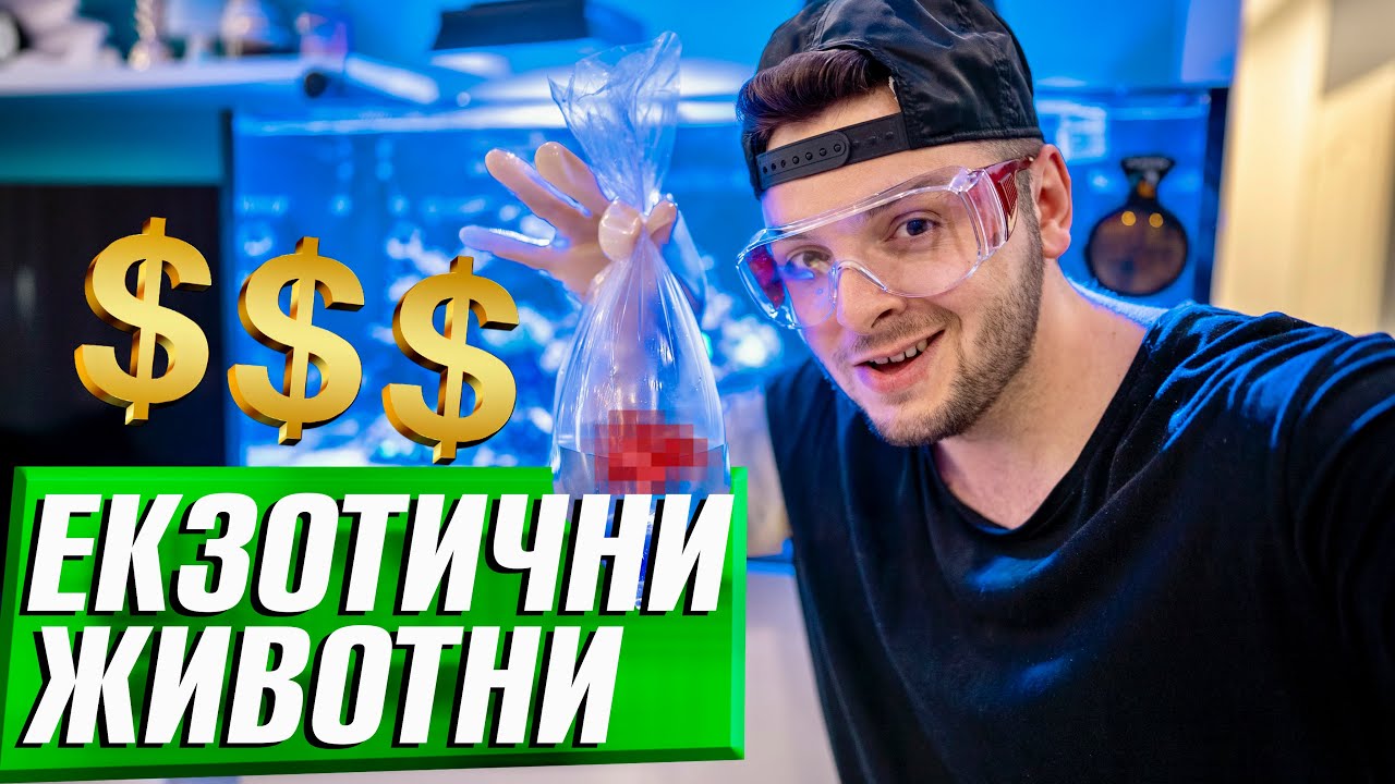 КУПУВАМ ЕКЗОТИЧНИ ЖИВОТНИ