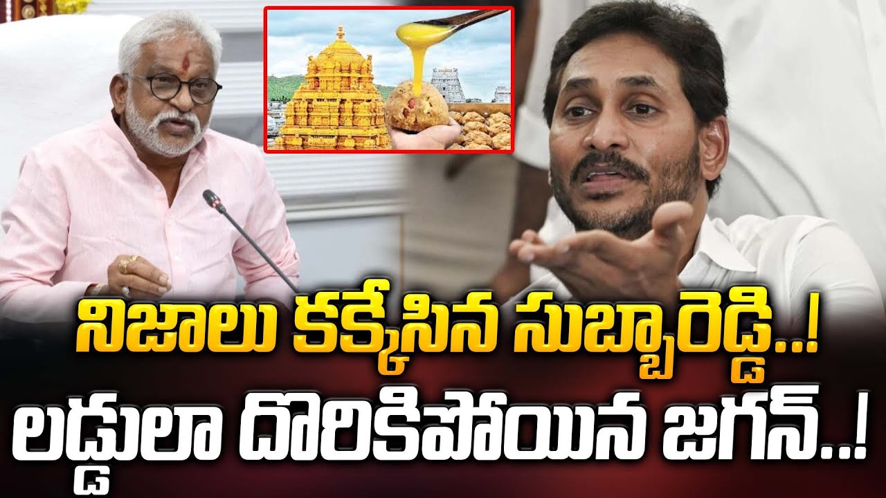 నిజాలు కక్కేసిన సుబ్బారెడ్డి..? లడ్డులా దొరికిపోయిన జగన్..? | YS Jagan | ManamTv