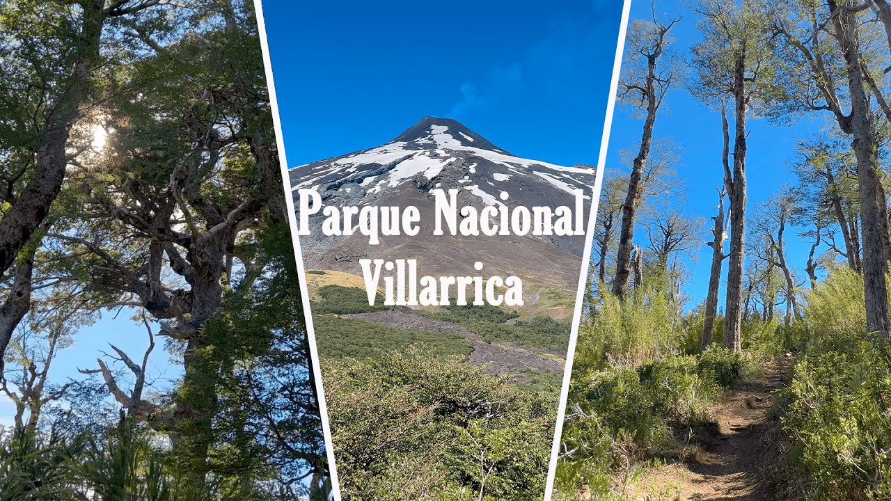 Parque Nacional Villarrica - Sector Rucapillán - Sendero Mirador Los Cráteres