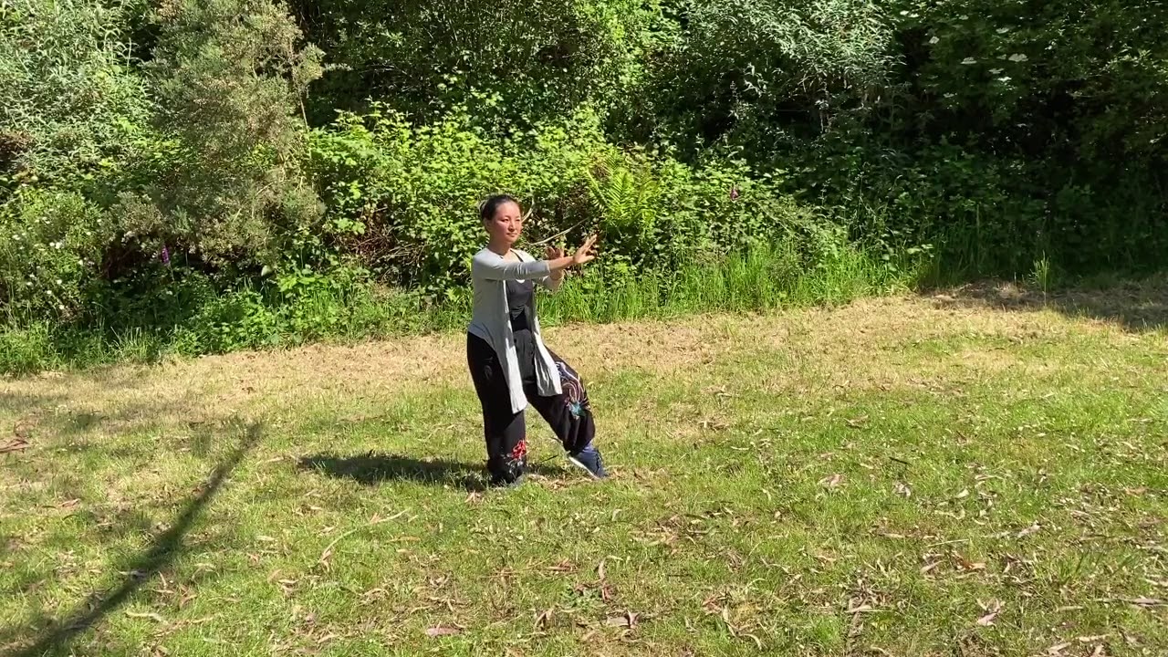 Taiji Style Yang 24 Mouvements Par Ma&icirc;tre Su Renfeng