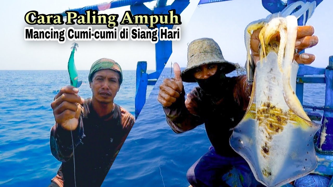 Cara Mancing Cumi cumi di Siang Hari.!! Strike Ukuran Babon Tanpa Henti