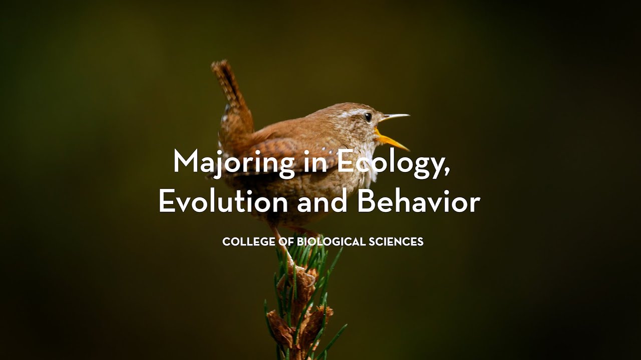 Ecology, Evolution and Behavior major