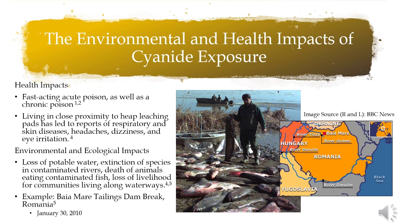 Gold Mining with Cyanide