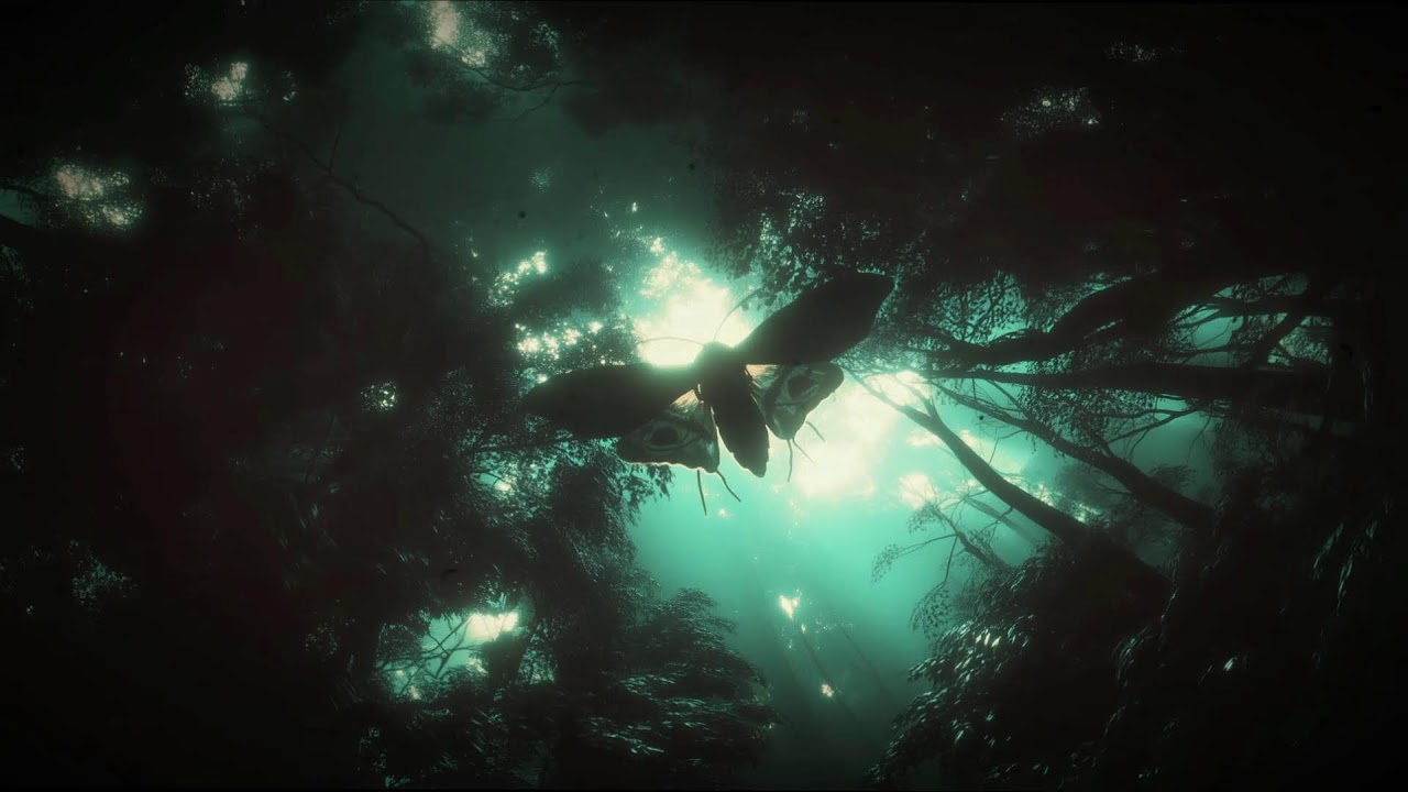 The Deepening Woods [Nightly] – Dark Ambient Echoed Guitar Reverbs