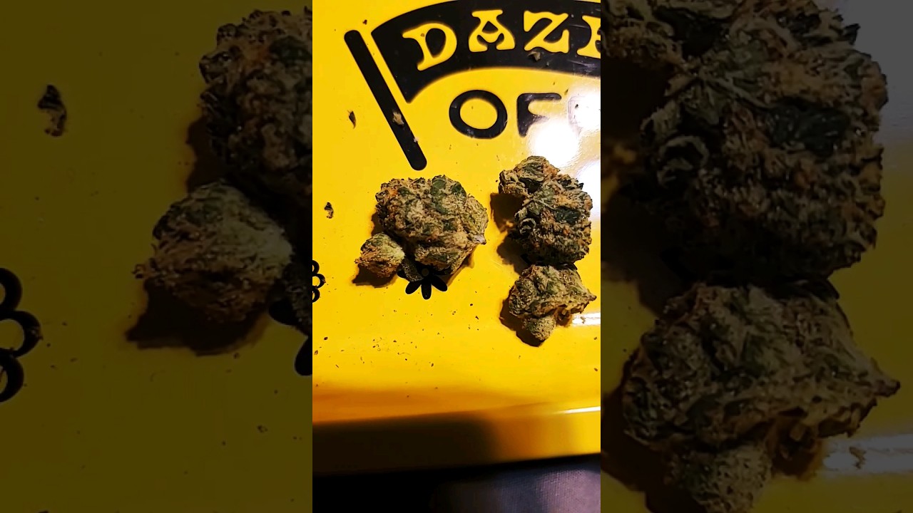 GARLIC Z By ISLAND FLOWER! Plus stick test full review in link below.