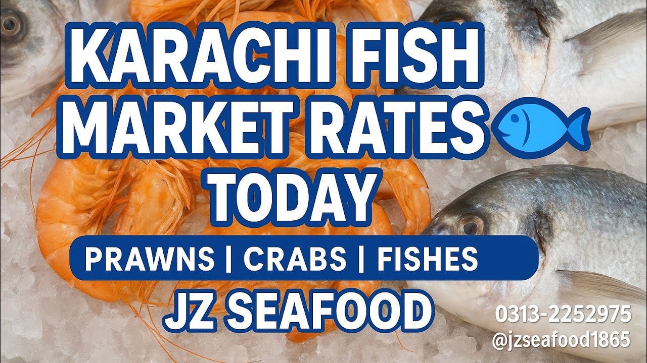 Karachi Fish Market Today | Fresh Seafood Rate Update | Prawns Fishes Price List | JZ Seafood
