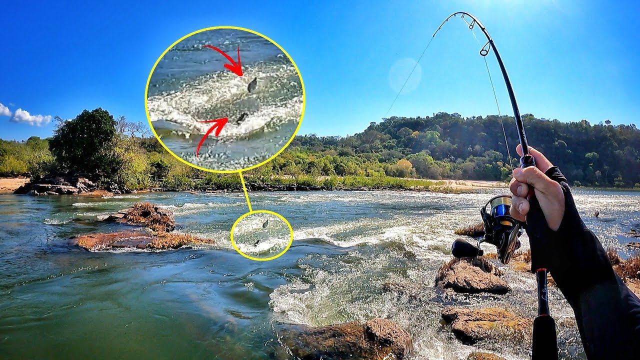PODE DAR ZOOM, PAUSAR, VER QUANTAS VEZES QUISER, DUVIDO DESCOBRIR QUE DIACHO É ISSO!!! Pescaria.