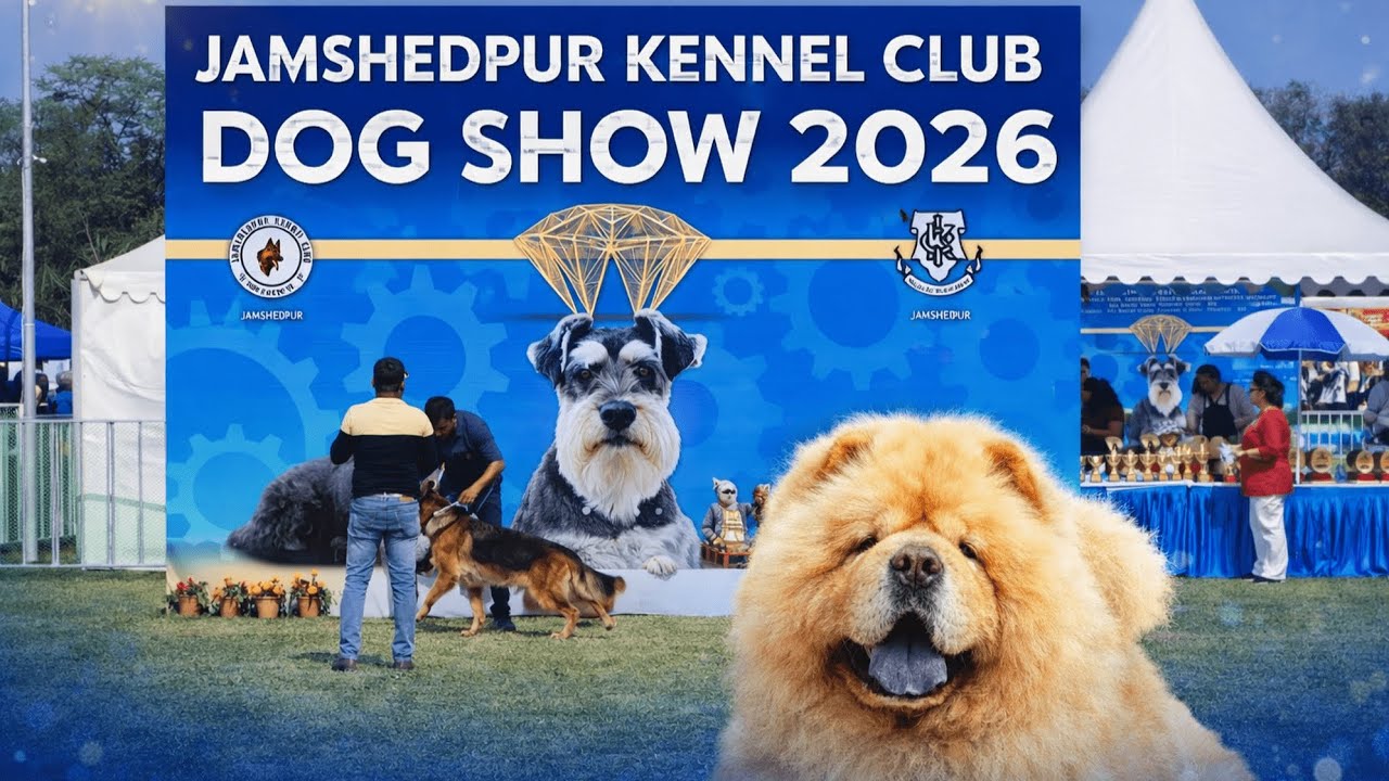 Jamshedpur Kennel Club Dog Show 2026 🐕 | All Breed Championship | Best Dogs of India